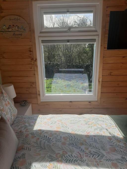 Anglesey New Modern Shepherds Hut With Spa Hot Tub Gwalchmai Exterior foto
